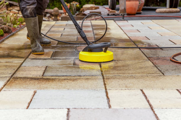Best Pre-Holiday Cleaning  in Kingwood, WV